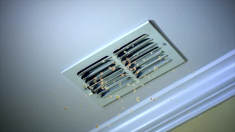Best Residential Air Duct Cleaning  in Point, TX