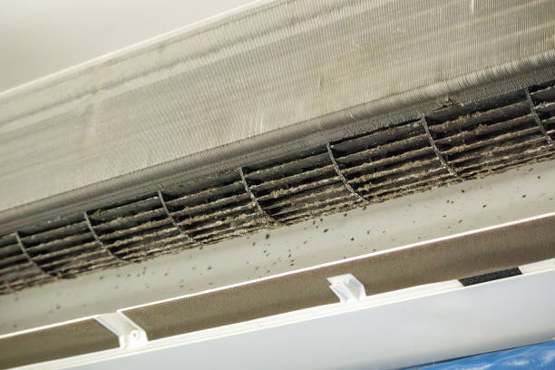 Best Best Air Duct Cleaning Company  in Point, TX