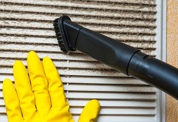 Best Ductwork Cleaning Services  in Point, TX